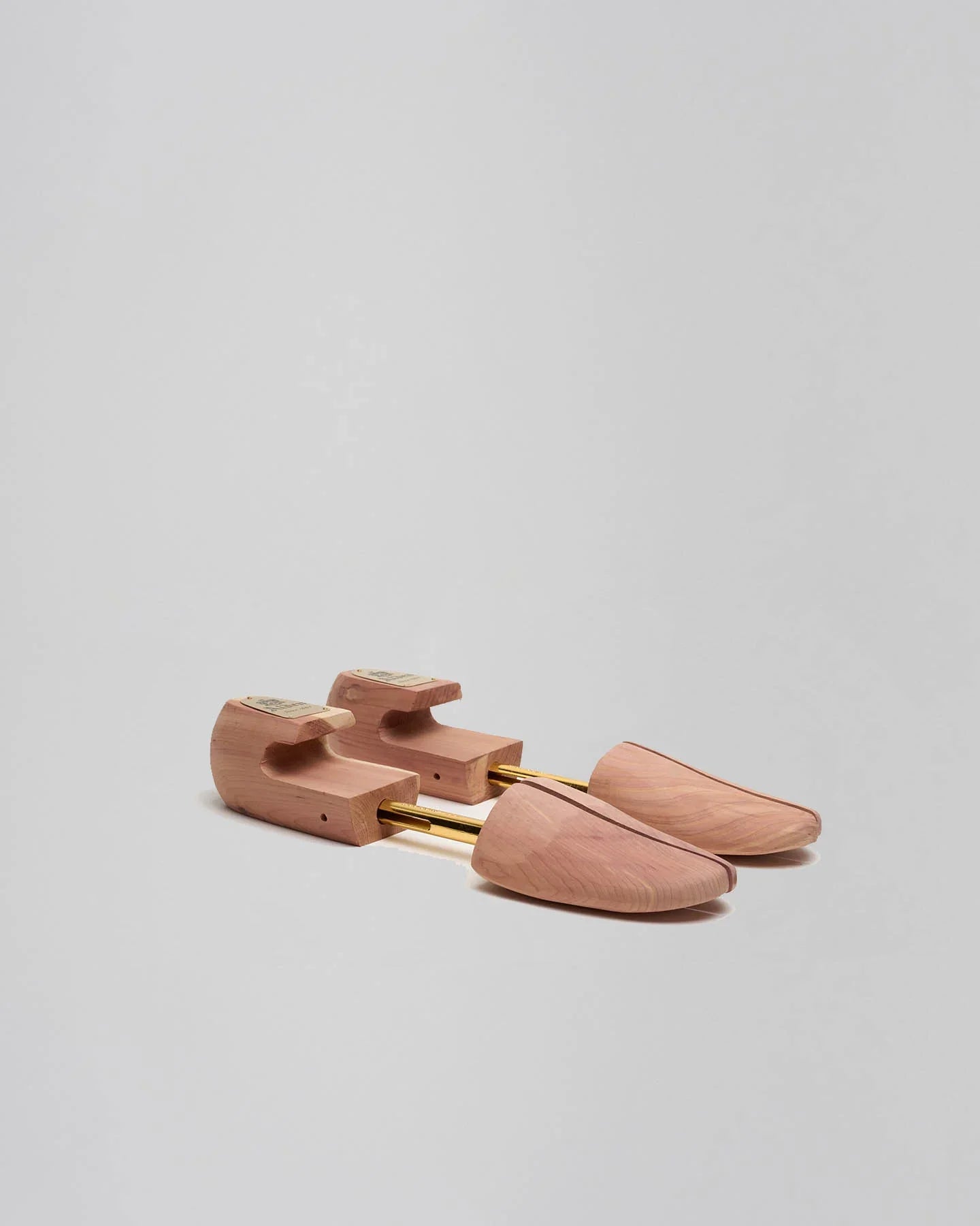 Shoe Trees – The Hand