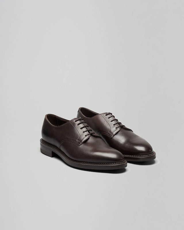 Edward Green - Windermere | Delapre | Dark Brown - Lace-up