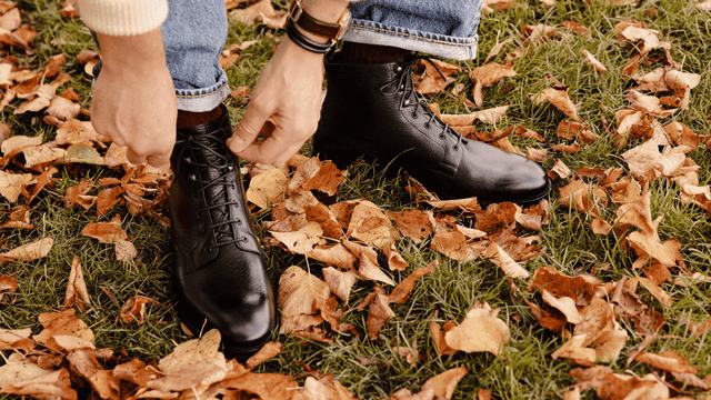 Fall/Winter Highlights